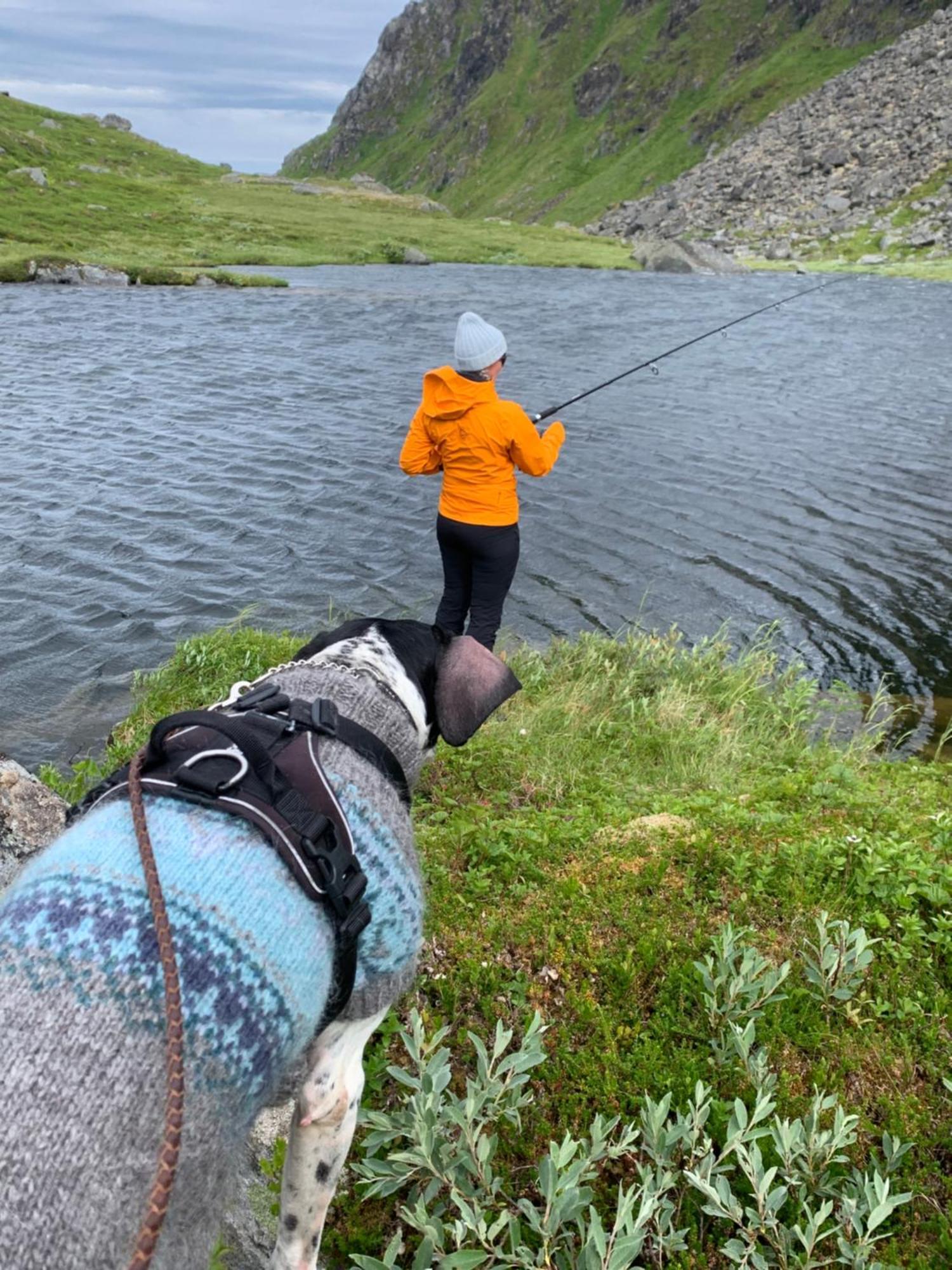 Liten Leilighet Inkludert Frokost Valberg Dış mekan fotoğraf