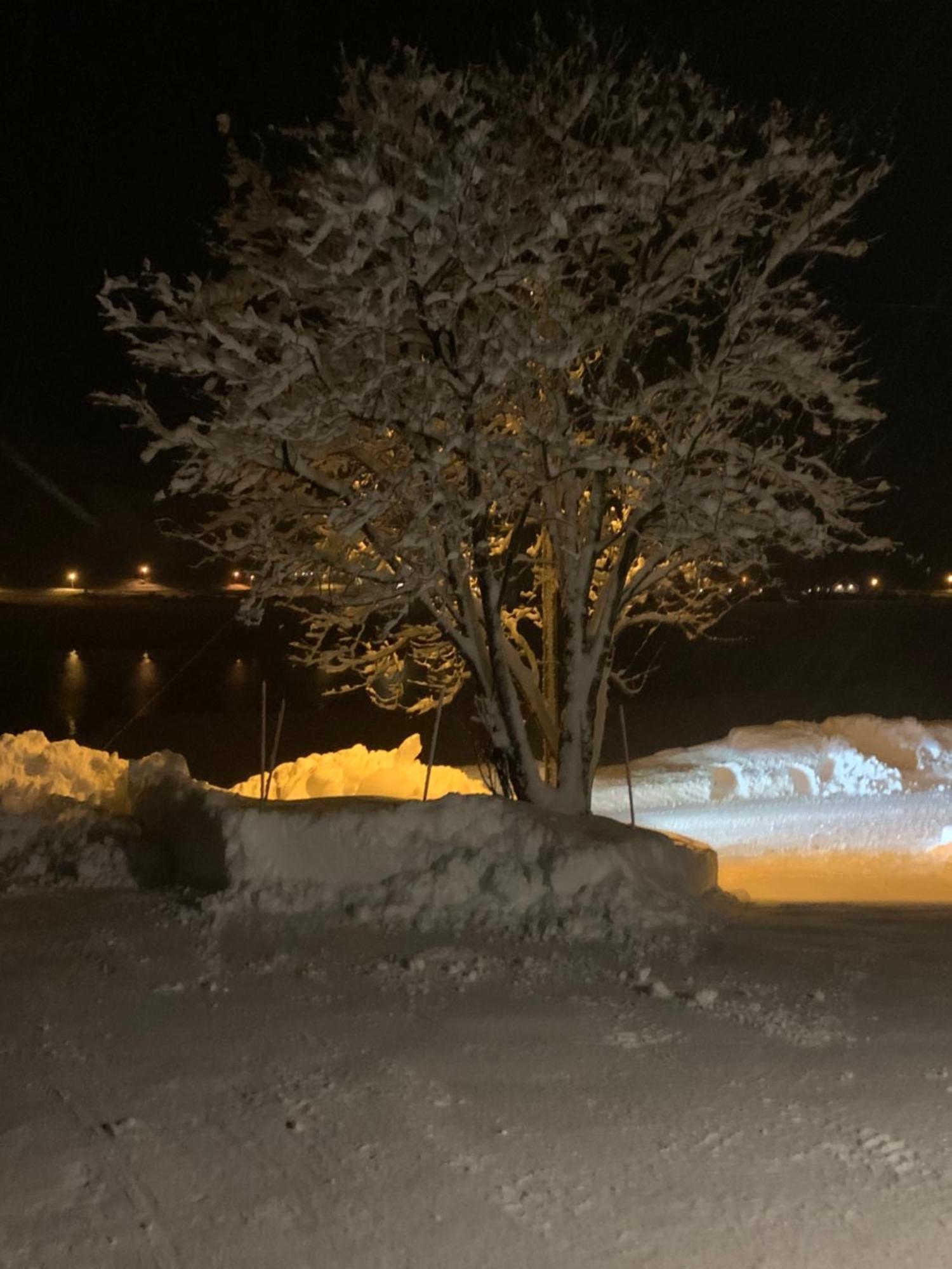 Liten Leilighet Inkludert Frokost Valberg Dış mekan fotoğraf